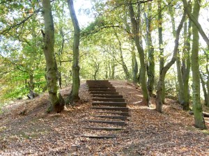 Autumn Steps Autumn Steps