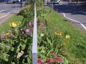 :central reservation near Sainsburys