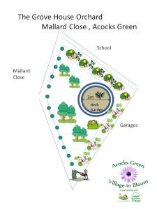 Thanks to Michael for this draft design of the Community Orchard.