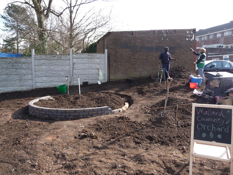 27th Feb. Shaping up in the sunshine. And a great new recruit!