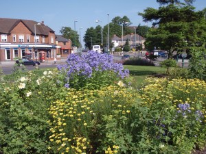 Main island bed 2013