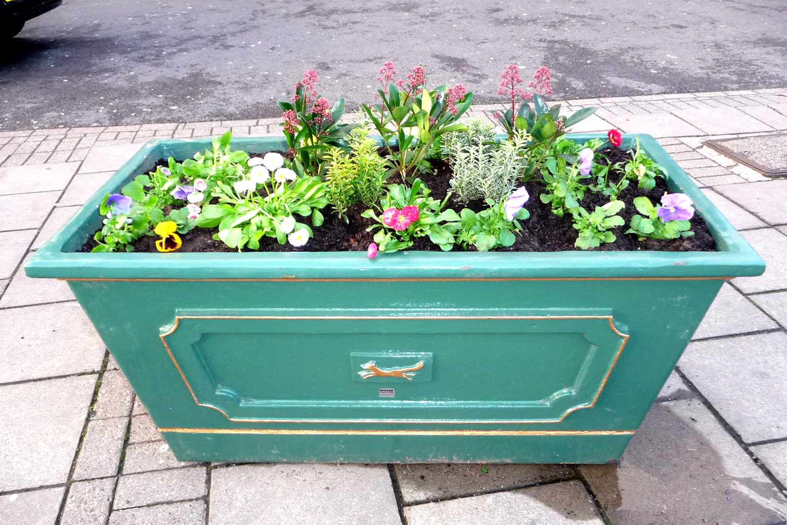 Winter colour in re-positioned planter