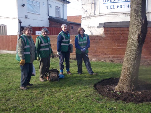 An enjoyable morning planting bulbs in the sunshine. 2nd Feb.