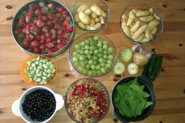 One day's pickings in July