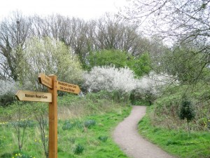 Westley Vale in Springtime