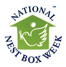 nnbw-logo-copyblog4