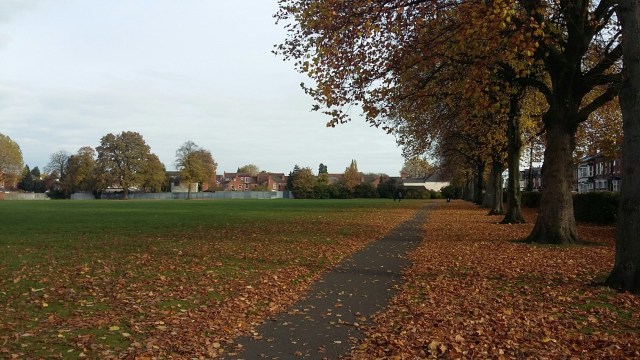 20161103_094300_resized_1