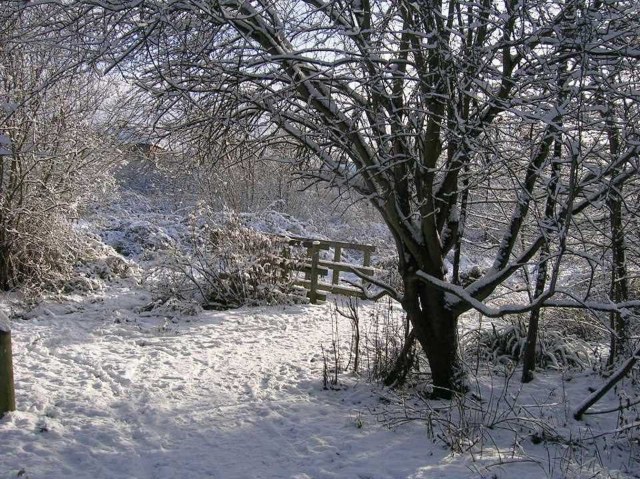 Stan snow a copy (1)