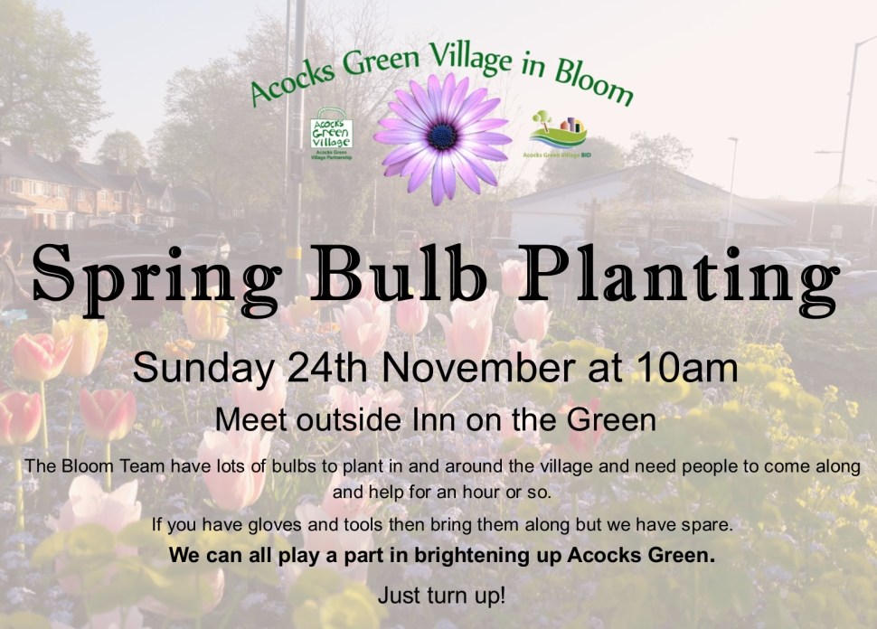 bulb planting Nov19
