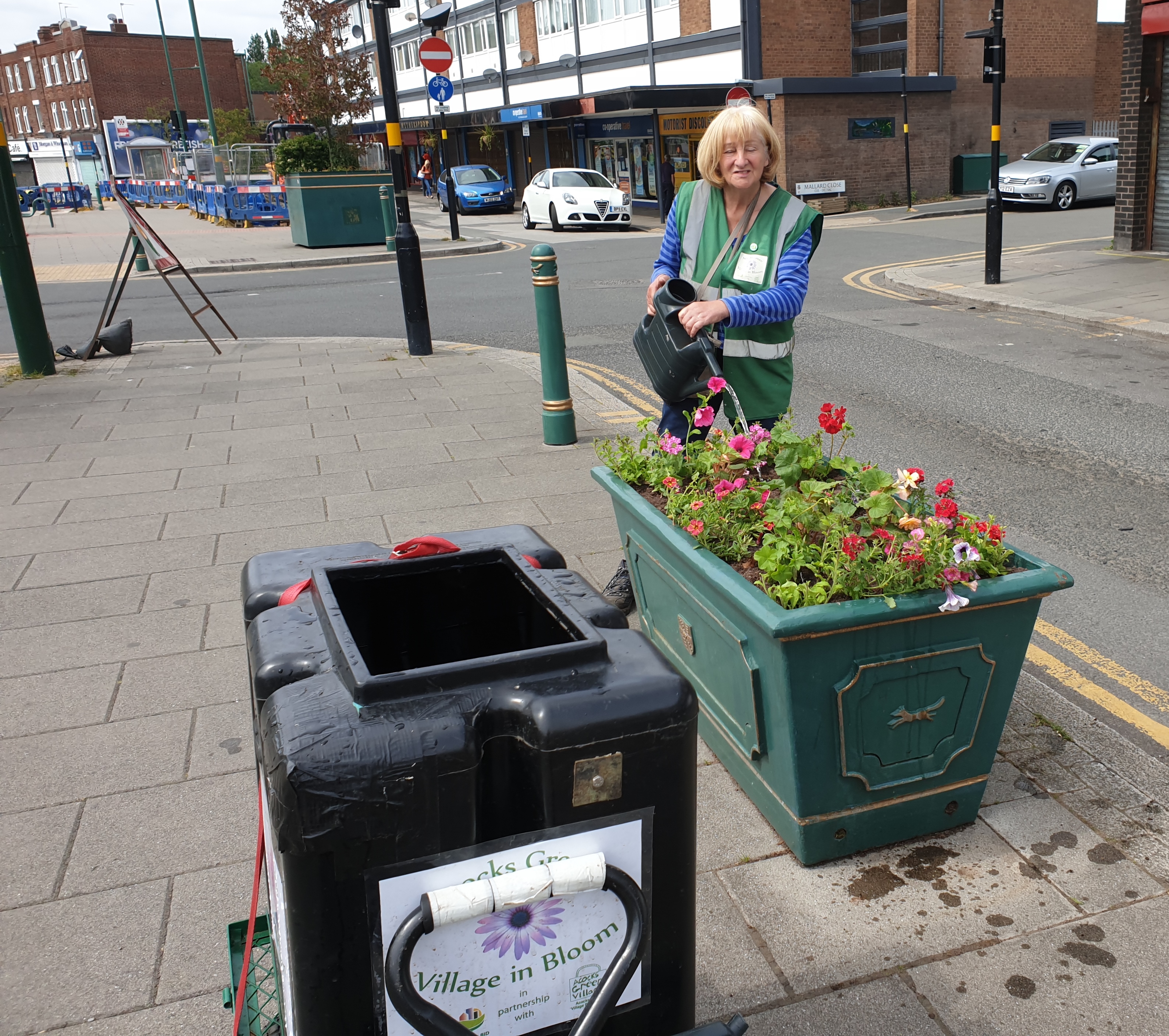 Fran watering the bedding plant in