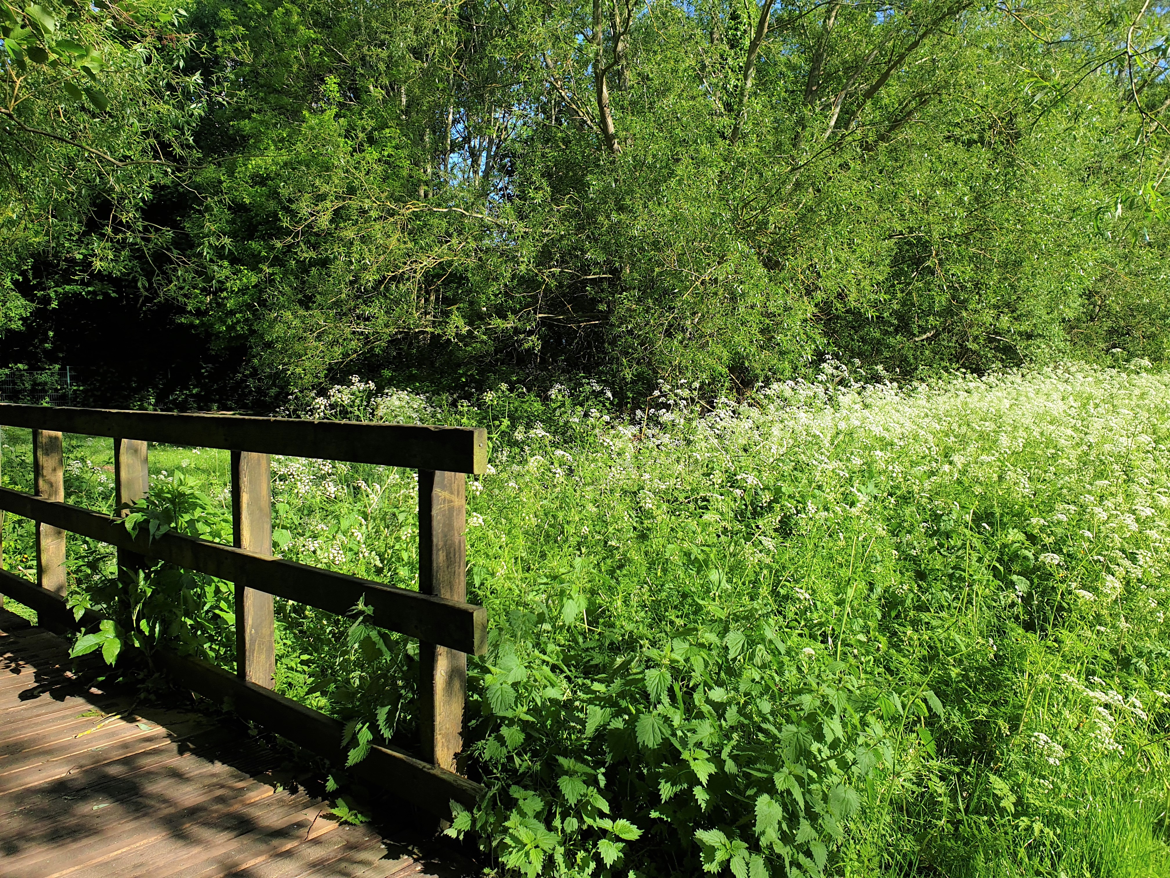 wp-1594234623392lighter