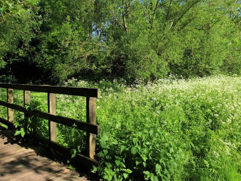 wp-1594234623392lighter